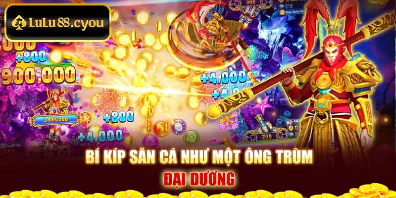 Bí kíp săn cá như một ông trùm đại dương Bí kíp săn cá như một ông trùm đại dương