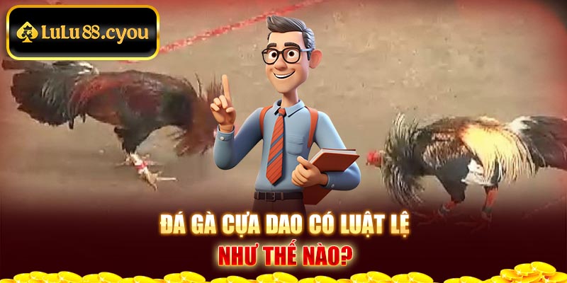 Đá gà cựa dao có luật lệ như thế nào? Đá gà cựa dao có luật lệ như thế nào?