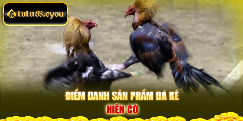 Điểm danh sản phẩm đá kê hiện có Điểm danh sản phẩm đá kê hiện có
