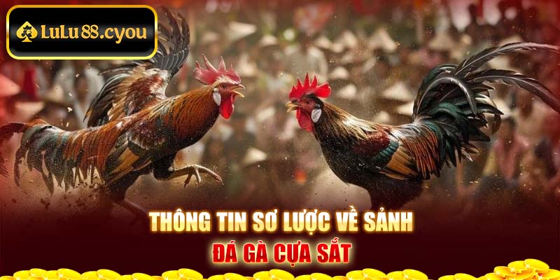 Thông tin sơ lược về sảnh đá gà cựa sắt Thông tin sơ lược về sảnh đá gà cựa sắt