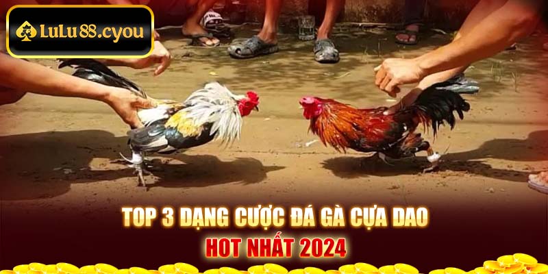 Top 3 dạng cược đá gà cựa dao hot nhất 2024 Top 3 dạng cược đá gà cựa dao hot nhất 2024