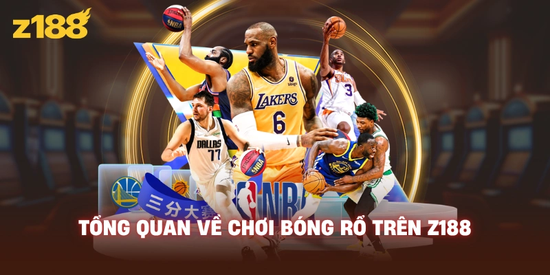 Tổng quan về chơi bóng rổ trên Z188